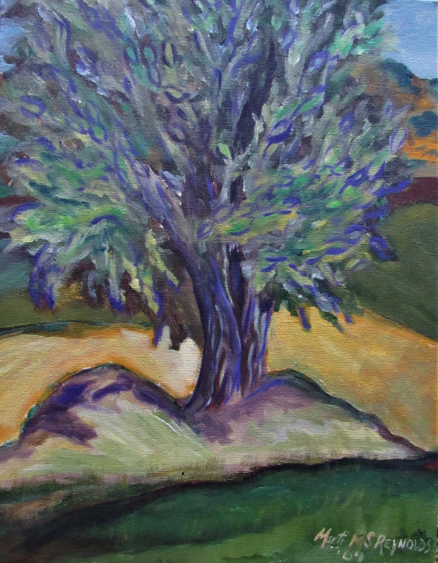 oak at old lavender farm, Atascadero, CA